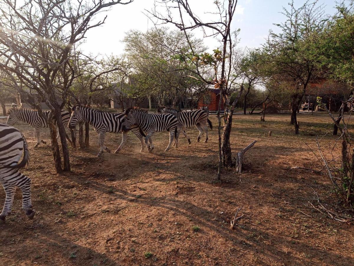 Marloth Kruger View Apartamento Marloth Park Exterior foto