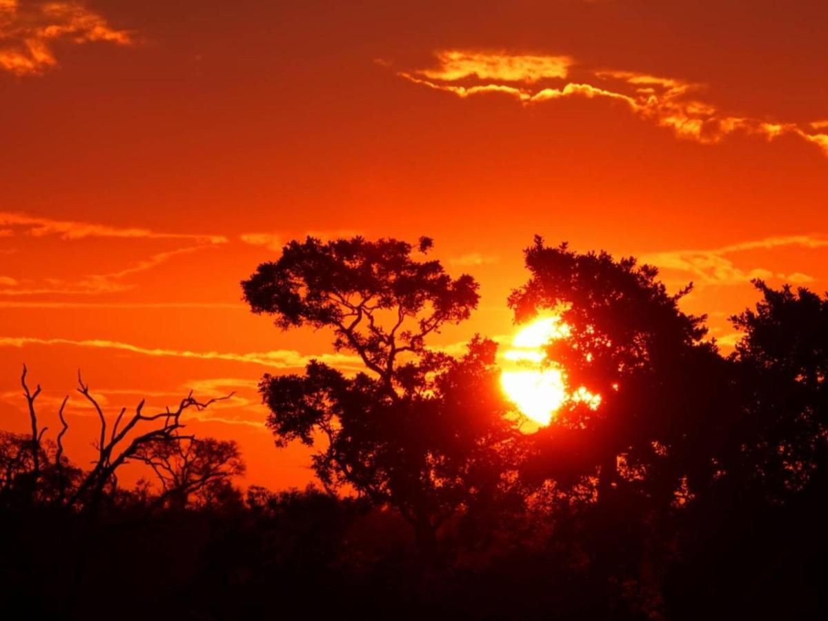 Marloth Kruger View Apartamento Marloth Park Exterior foto