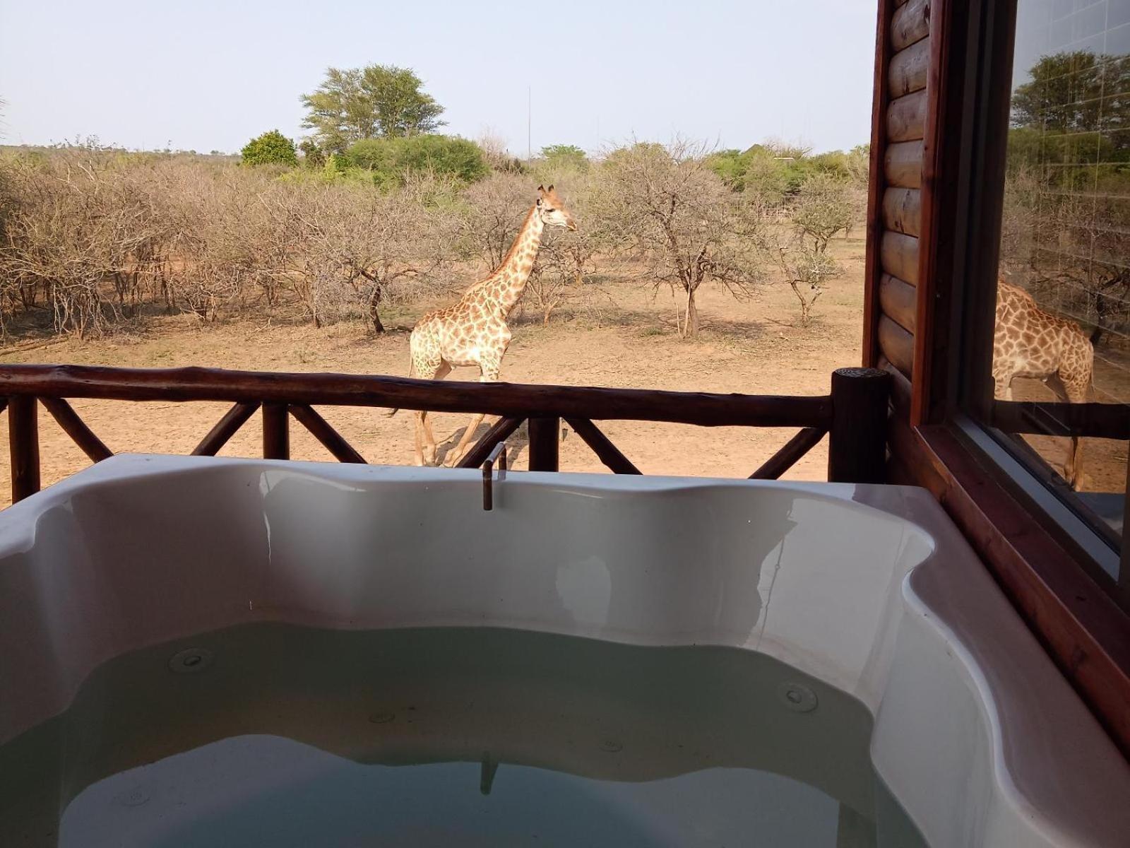 Marloth Kruger View Apartamento Marloth Park Exterior foto