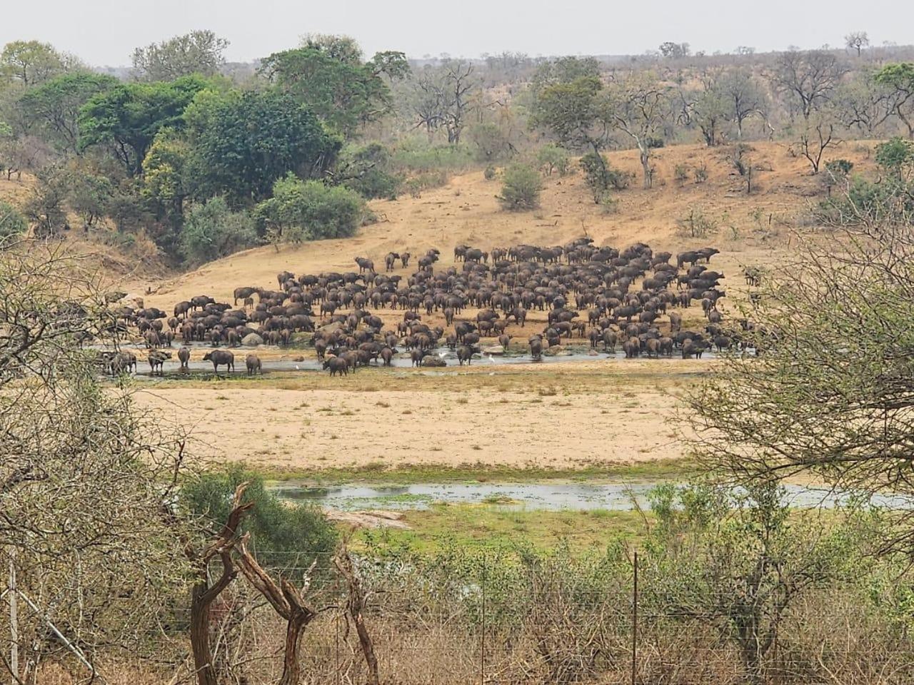 Marloth Kruger View Apartamento Marloth Park Exterior foto